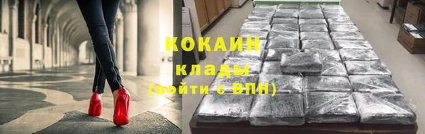 ПСИЛОЦИБИНОВЫЕ ГРИБЫ Алзамай