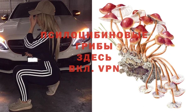 ПСИЛОЦИБИНОВЫЕ ГРИБЫ Алзамай