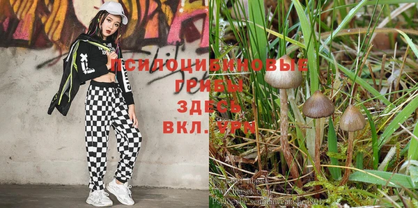 винт Алексеевка