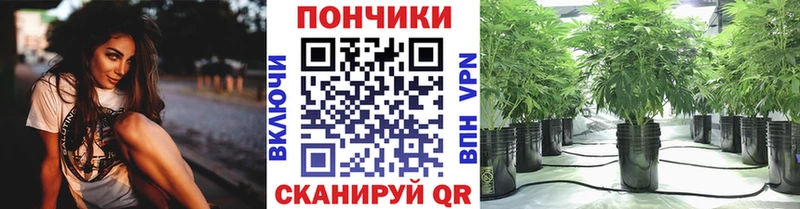 Бошки марихуана марихуана Апатиты